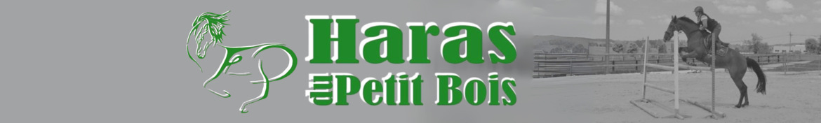 Le Haras du Petit Bois